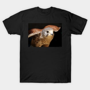 Kestrel T-Shirt